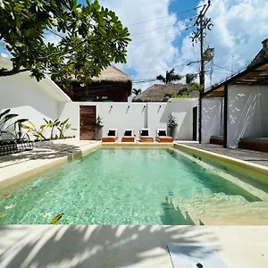 Aalada , Playa del Carmen Messico